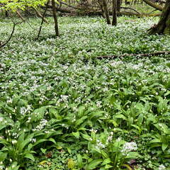 22-04-25 12-16-55 0624